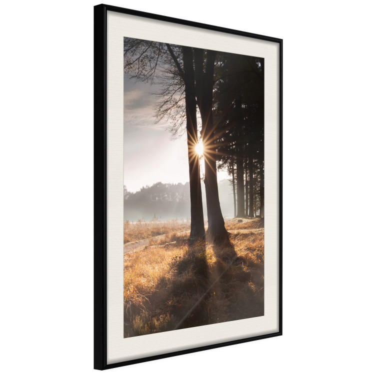 Poster We Are a Gleam - landscape of trees and sun against a forest in mist 138040 additionalImage 10