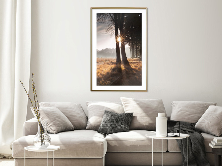 Poster We Are a Gleam - landscape of trees and sun against a forest in mist 138040 additionalImage 23