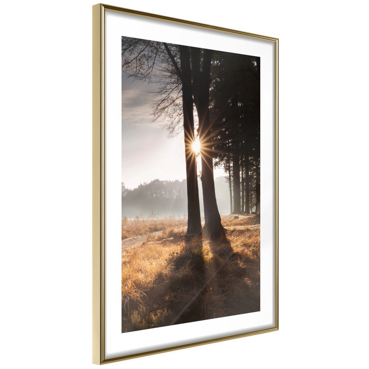 Poster We Are a Gleam - landscape of trees and sun against a forest in mist 138040 additionalImage 2