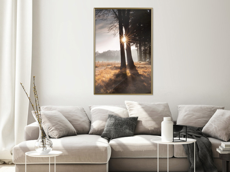 Poster We Are a Gleam - landscape of trees and sun against a forest in mist 138040 additionalImage 16