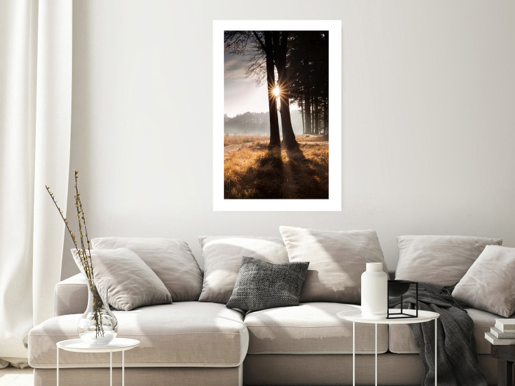 Poster We Are a Gleam - landscape of trees and sun against a forest in mist 138040 additionalImage 22
