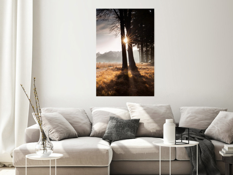 Poster We Are a Gleam - landscape of trees and sun against a forest in mist 138040 additionalImage 21
