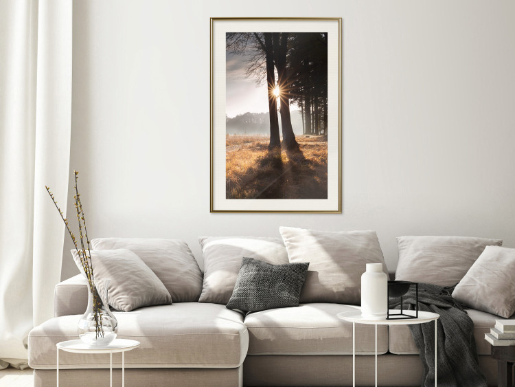 Poster We Are a Gleam - landscape of trees and sun against a forest in mist 138040 additionalImage 25