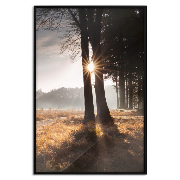Poster We Are a Gleam - landscape of trees and sun against a forest in mist 138040 additionalImage 12