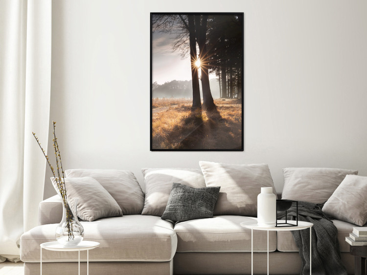 Poster We Are a Gleam - landscape of trees and sun against a forest in mist 138040 additionalImage 19