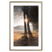 Poster We Are a Gleam - landscape of trees and sun against a forest in mist 138040 additionalThumb 18