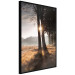Poster We Are a Gleam - landscape of trees and sun against a forest in mist 138040 additionalThumb 5
