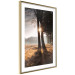 Poster We Are a Gleam - landscape of trees and sun against a forest in mist 138040 additionalThumb 2
