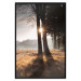 Poster We Are a Gleam - landscape of trees and sun against a forest in mist 138040 additionalThumb 12