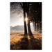 Poster We Are a Gleam - landscape of trees and sun against a forest in mist 138040