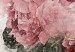 Poster Peonies in Bloom [Poster] 142840 additionalThumb 6