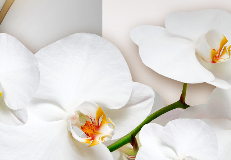 Print On Glass Orchids II [Glass] 150640 additionalImage 5