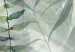 Canvas Print Wild Meadow - Lush Vegetation Intermingled on a White Background 151440 additionalThumb 5