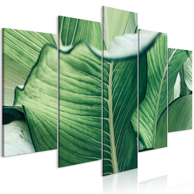Canvas Art Print Luscious Nature - Large Leaves in Expressive Shades of Green 151840 additionalImage 2