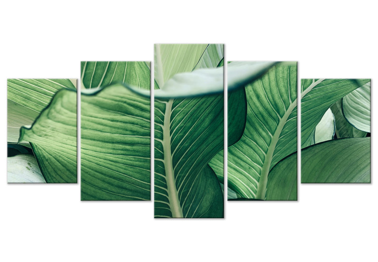 Canvas Art Print Luscious Nature - Large Leaves in Expressive Shades of Green 151840