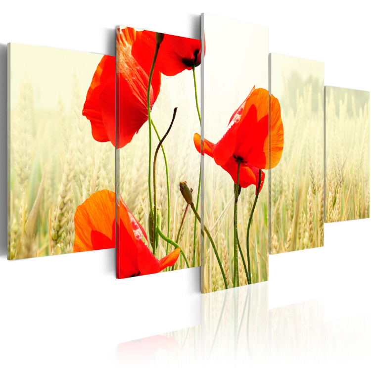 Canvas Print Nature and red poppies 58640 additionalImage 2