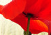 Canvas Print Nature and red poppies 58640 additionalThumb 4