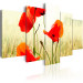 Canvas Print Nature and red poppies 58640 additionalThumb 2