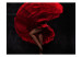 Photo Wallpaper Flamenco dancer 61240 additionalThumb 1