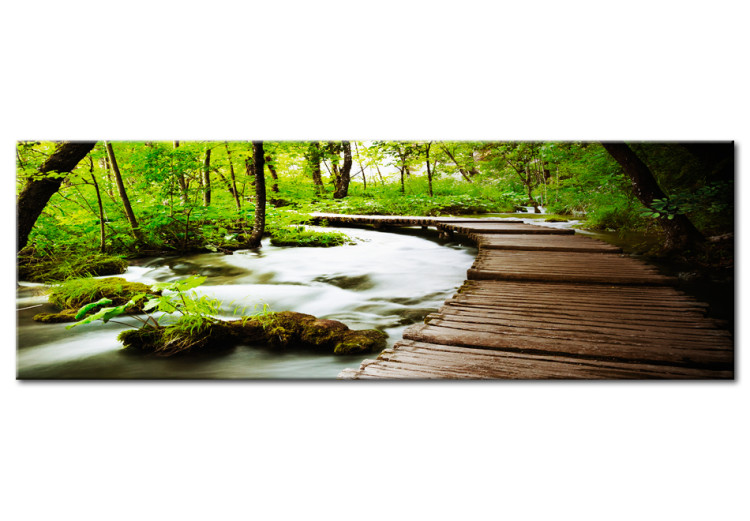 Canvas Print Forest Song (1-part) - landscape with a bridge and river among trees 94240