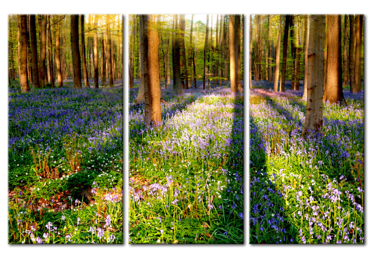 Canvas Floral Meadow Among Trees (3-part) - Spring Forest Landscape 96840