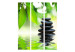 Folding Screen Tranquility - dark Zen-style stones against green bamboo leaves 97340 additionalThumb 3