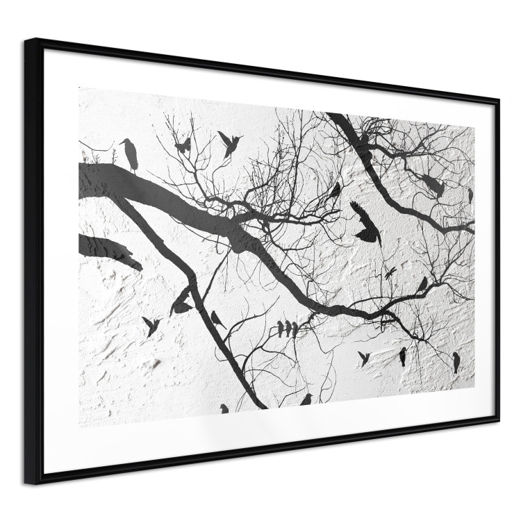 Poster Bird Encounter - black and white landscape of tree and birds on branches 117250 additionalImage 11