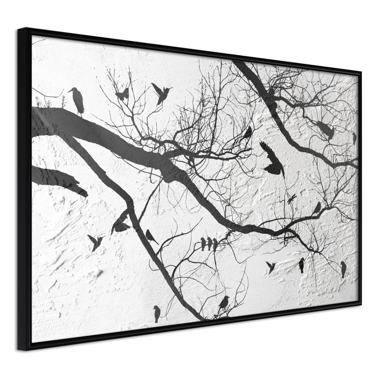 Poster Bird Encounter - black and white landscape of tree and birds on branches 117250 additionalImage 10