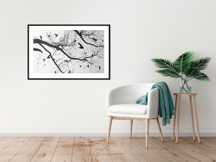 Poster Bird Encounter - black and white landscape of tree and birds on branches 117250 additionalImage 4
