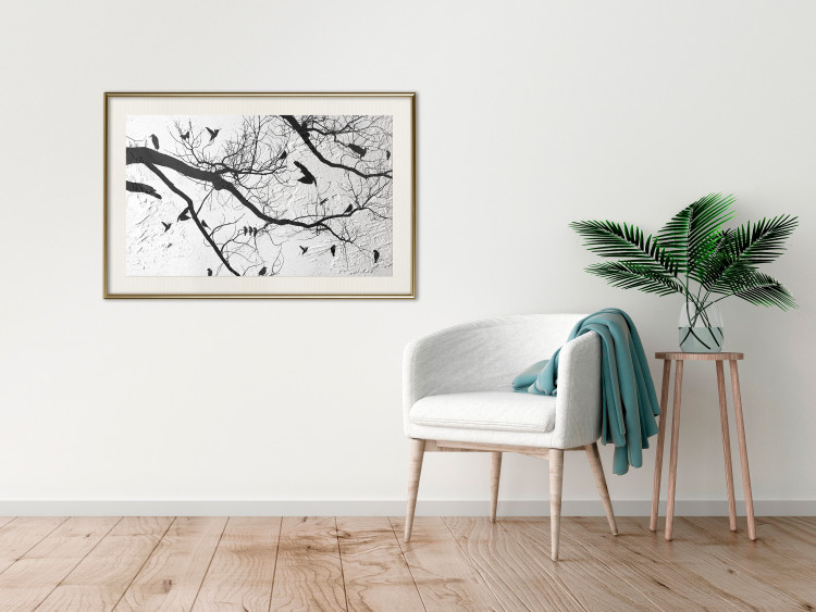 Poster Bird Encounter - black and white landscape of tree and birds on branches 117250 additionalImage 22