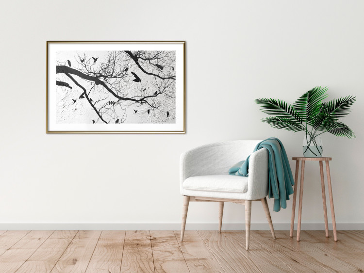 Poster Bird Encounter - black and white landscape of tree and birds on branches 117250 additionalImage 15