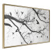 Poster Bird Encounter - black and white landscape of tree and birds on branches 117250 additionalThumb 12