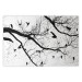 Poster Bird Encounter - black and white landscape of tree and birds on branches 117250