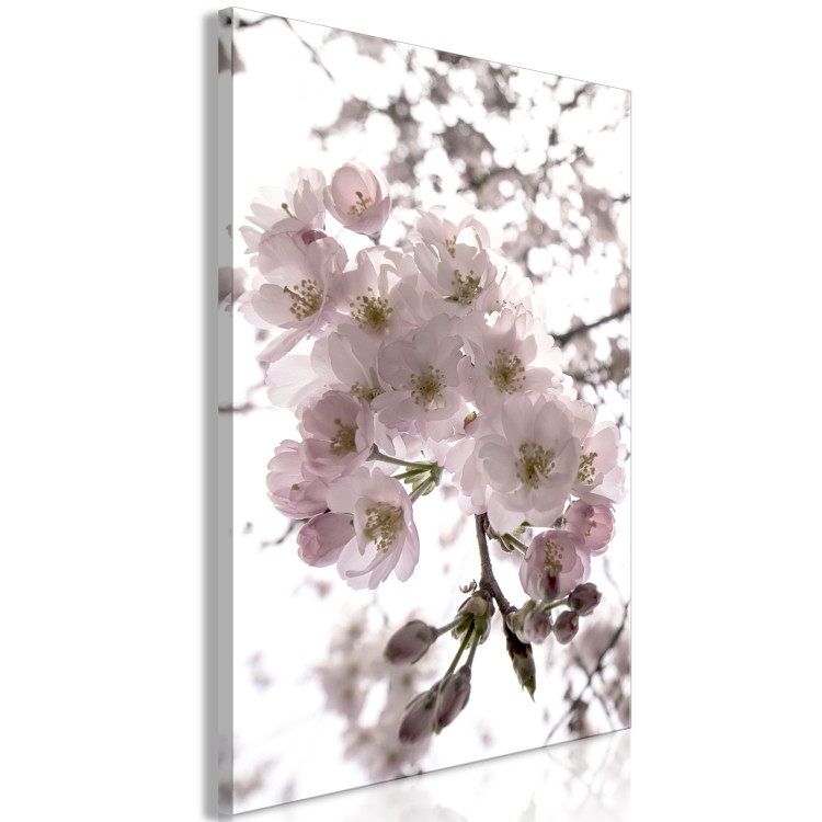 Canvas Art Print Cherry Blossoms (1 Part) Vertical 125850 additionalImage 2