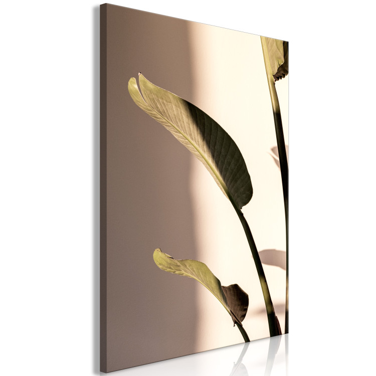 Canvas Sunny Rhythm (1-part) vertical - photograph of exotic leaves 129450 additionalImage 2