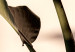 Canvas Sunny Rhythm (1-part) vertical - photograph of exotic leaves 129450 additionalThumb 5