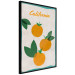 Poster Californian Grove - orange fruits with leaves and text on a light background 131950 additionalThumb 13