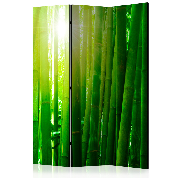 Room Divider Screen Sun and bamboo [Room Dividers] 133250