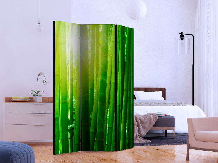 Room Divider Screen Sun and bamboo [Room Dividers] 133250 additionalImage 2
