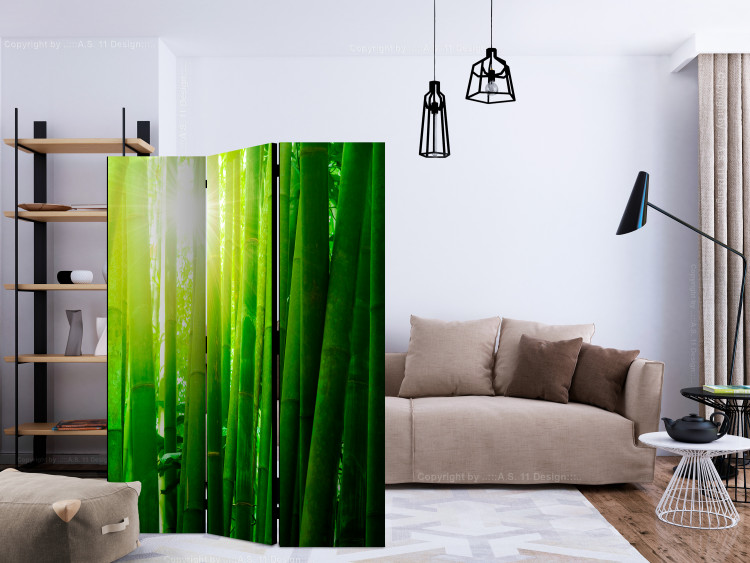 Room Divider Screen Sun and bamboo [Room Dividers] 133250 additionalImage 4