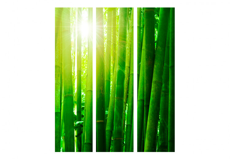 Room Divider Screen Sun and bamboo [Room Dividers] 133250 additionalImage 3