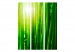 Room Divider Screen Sun and bamboo [Room Dividers] 133250 additionalThumb 3
