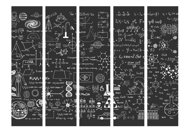 Room Divider Screen Scientific Board II (5-piece) - black and white composition with inscriptions 133350 additionalImage 3