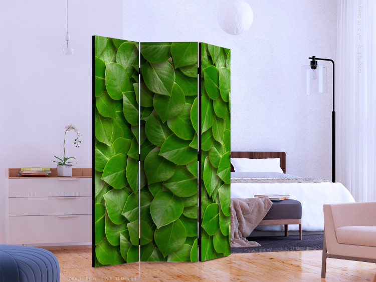 Room Divider Mysterious Garden - plant texture composition with green leaves 133850 additionalImage 2