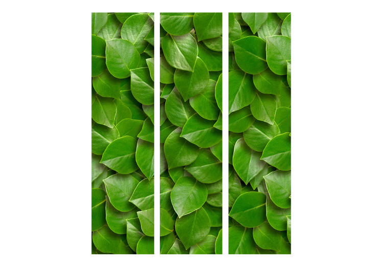 Room Divider Mysterious Garden - plant texture composition with green leaves 133850 additionalImage 3