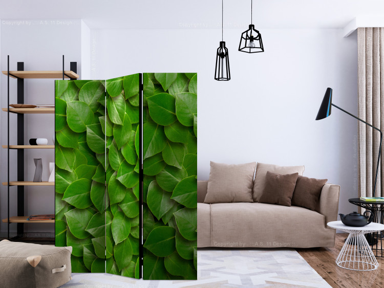 Room Divider Mysterious Garden - plant texture composition with green leaves 133850 additionalImage 4