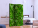 Room Divider Mysterious Garden - plant texture composition with green leaves 133850 additionalThumb 2