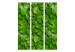 Room Divider Mysterious Garden - plant texture composition with green leaves 133850 additionalThumb 3