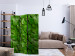Room Divider Mysterious Garden - plant texture composition with green leaves 133850 additionalThumb 4