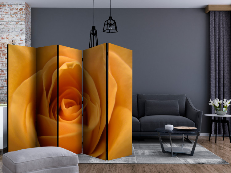 Room Divider Yellow Rose - Symbol of Friendship II - composition of a yellow-colored plant 134050 additionalImage 4